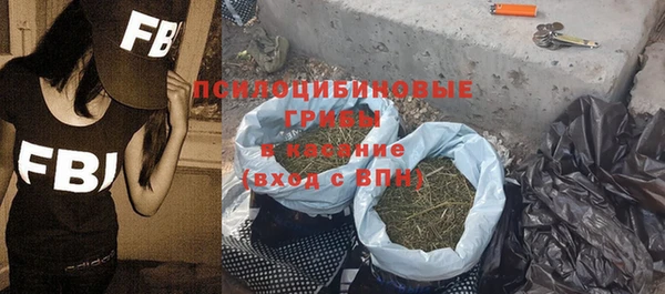 хмурый Алексеевка