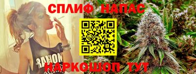 хмурый Можга