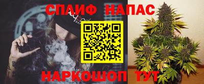 jwh Моздок